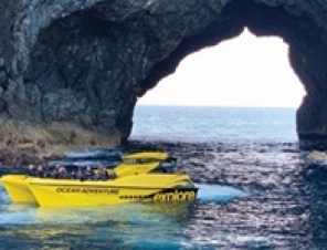 by hole in rock by hole in rock